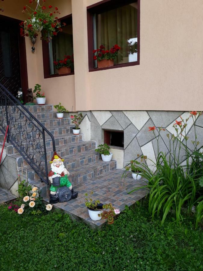 Apartament Laura Bran (Brasov) Exterior foto